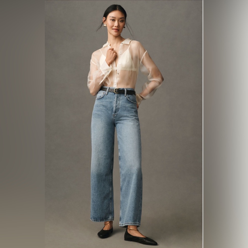 Agolde Ren Jeans - high rise wide leg size 29 color disclosure